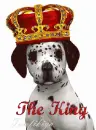 the king