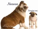 forgive me