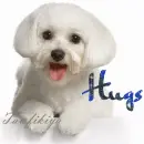 Hugs 