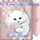 SHEILA