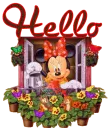 hello