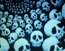 skulls
