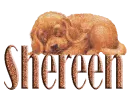 shereen