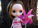 pinwheel