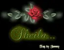 Rose: Sheila