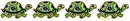 TURTLE DIVIDER