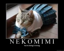 nekomimi