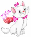 Zilfa