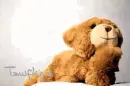 thinking of you