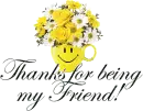 Thanks for being my friend