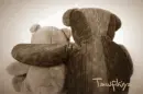 Together Forever