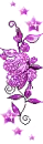 violet flowers
