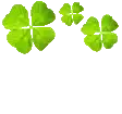 clover