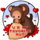 Fave nut