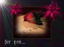 rose for you