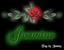Rose: Jasmine