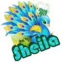 Peacock: Sheila