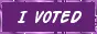 I VOTED