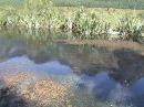 Lago na Nova ZelÃ¢ndia