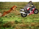 OMG!Soo Funny!Laughs