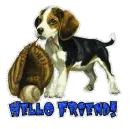Hello~Puppy