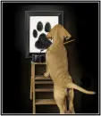 puppy painter