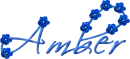 Script Text Sparkled Roses - Amber