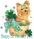 HAPPY ST PATRICKS DAY