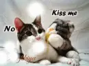 kiss me