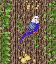 Parrots
