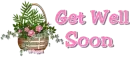 Basket of flowers with Get well soon