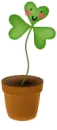 lucky clover