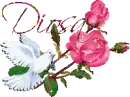 white dove - Diosa
