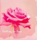 Falling in love