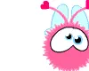 LOVE BUG