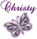 Purple butterfly- Christy