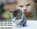 Dont look behind you