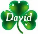 CLOVER WITH NANE DAVID