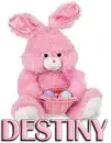 PINK EASTER BUNNY: DESTINY