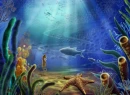 Under the sea