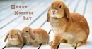Happy Mothers Day
