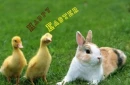 Happy Easter