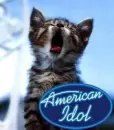 aikitty