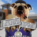 Pimp dog