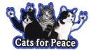 Cats for Peace