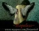 Hopeless Angel