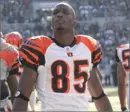 chad johnson
