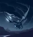 Midnight Dragon