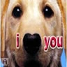  love you