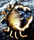 Crab